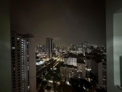 Blk 113D Mcnair Towers (Kallang/Whampoa), HDB 3 Rooms #559250671